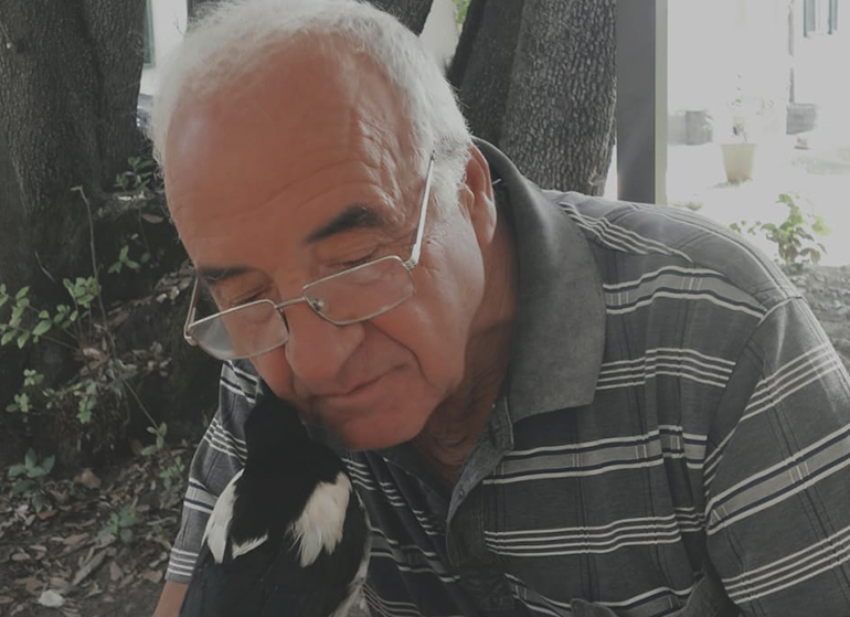 Domenico Grieco <div>capitano eletto</div>
